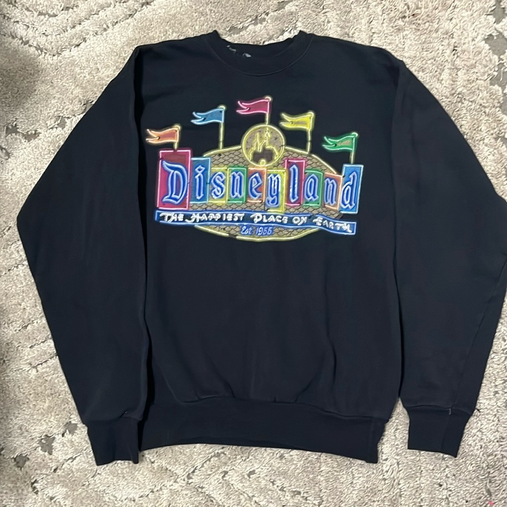 Vintage 1995 Disney land hoodie